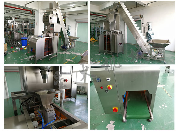 開心果食品自動化包裝機設(shè)備,全自動開心果食品包裝生產(chǎn)流水線